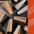 AIA-CAM Book Club