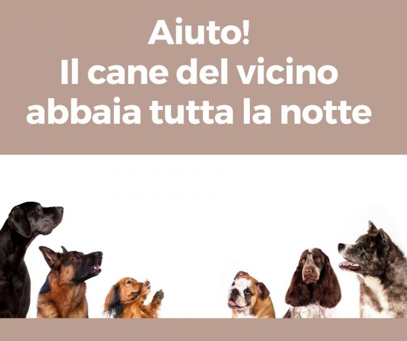 mediazione e animali da compagnia