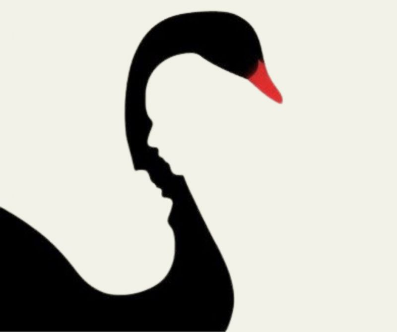 black swans